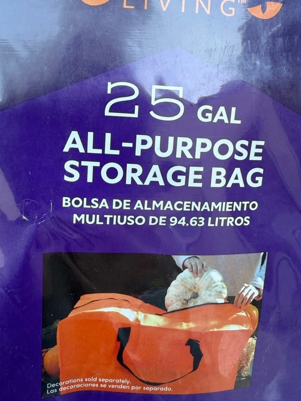 Haunted Living 25 Gal All-Purpose Storage Bag — Orange Halloween